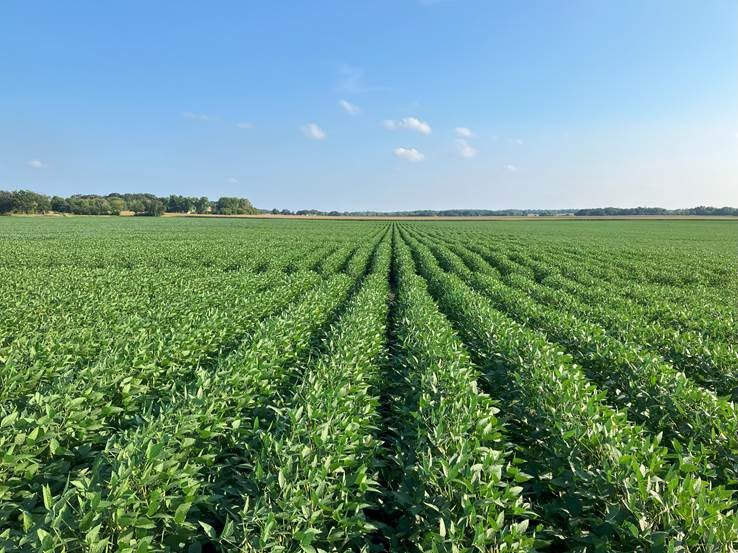 2024 Agri-Tech Soybean In-Furrow/Foliar Trial