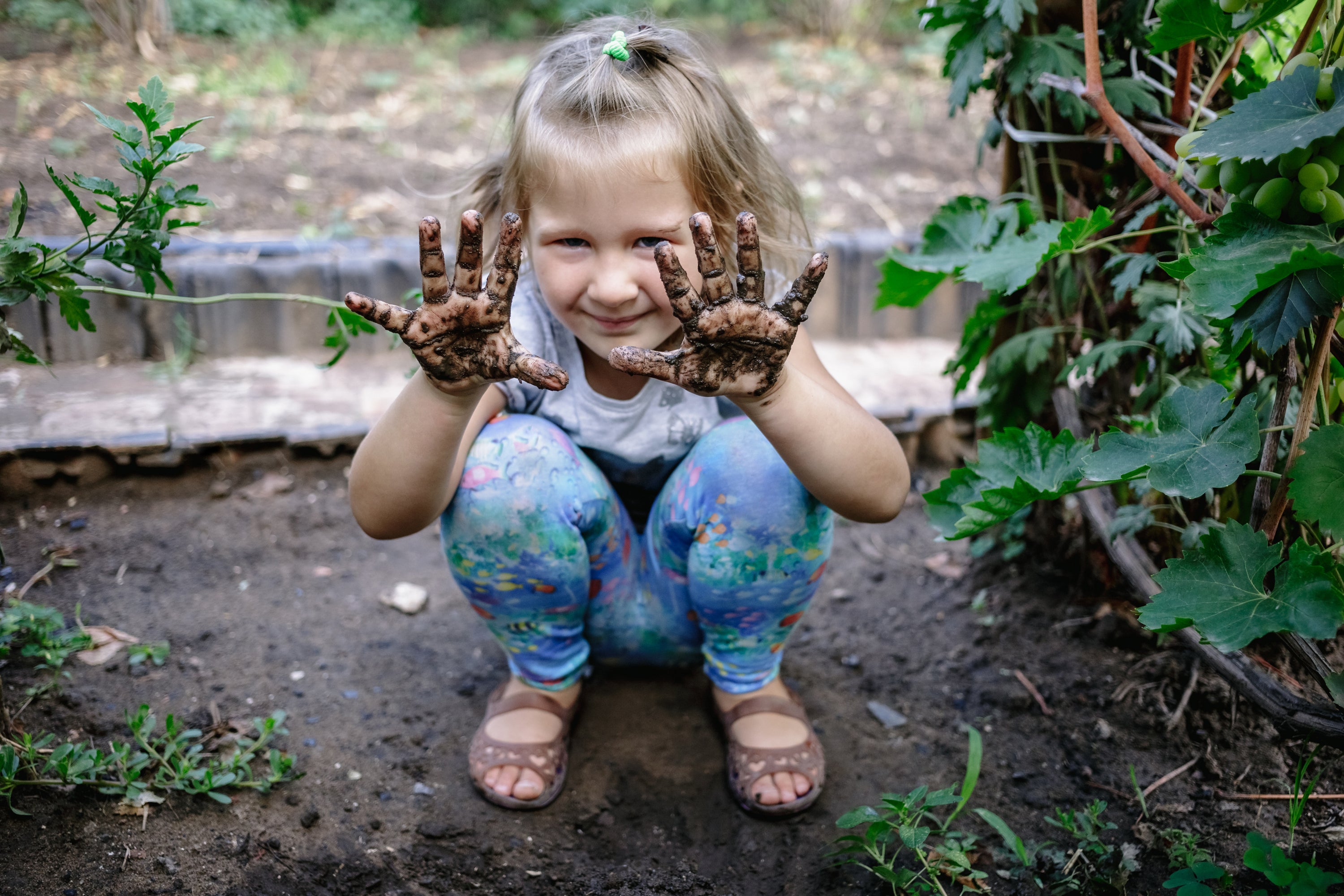 Play in the Dirt and Improve your Soil