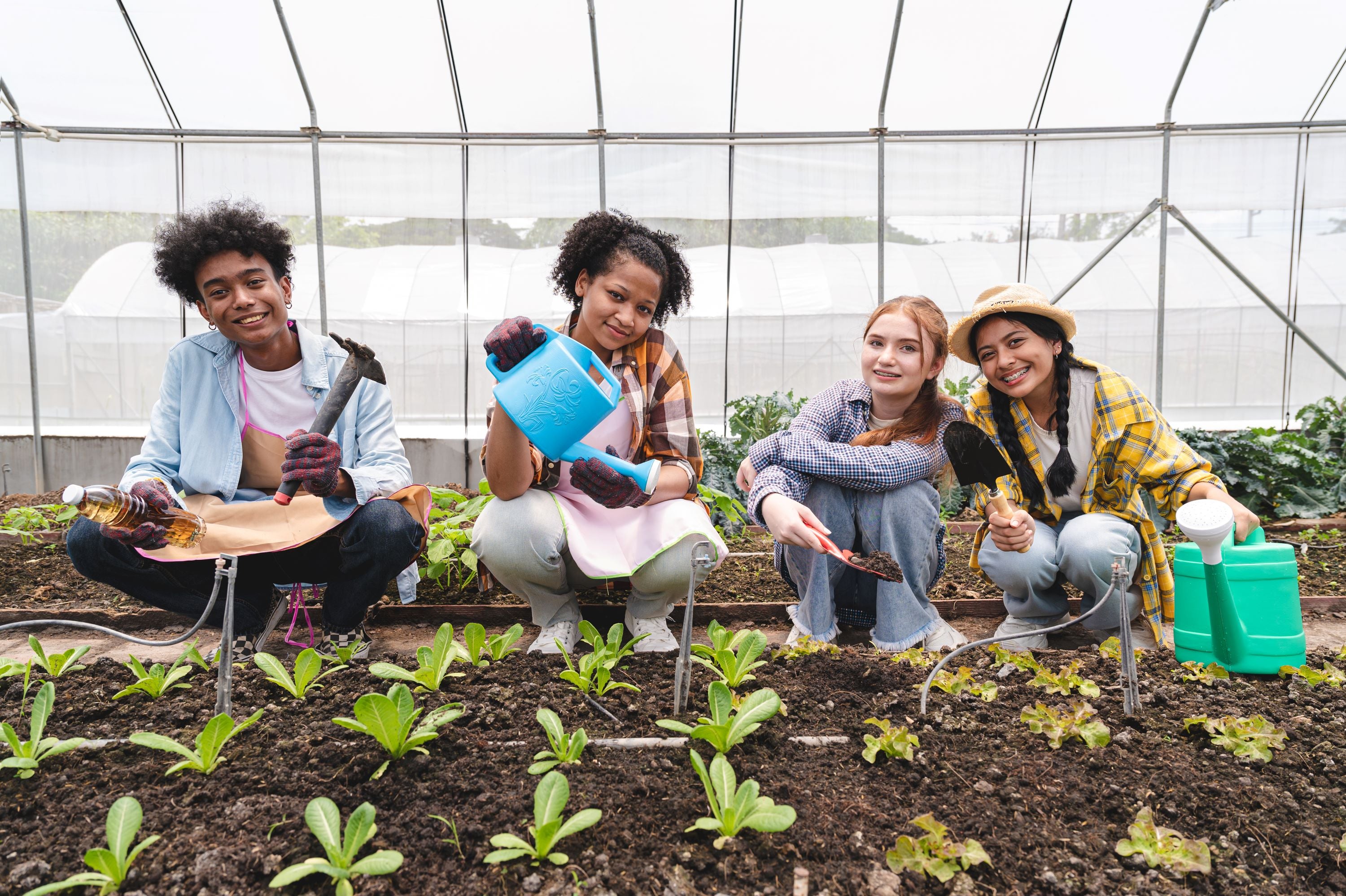 Get Your Greenhouses Ready for Fall