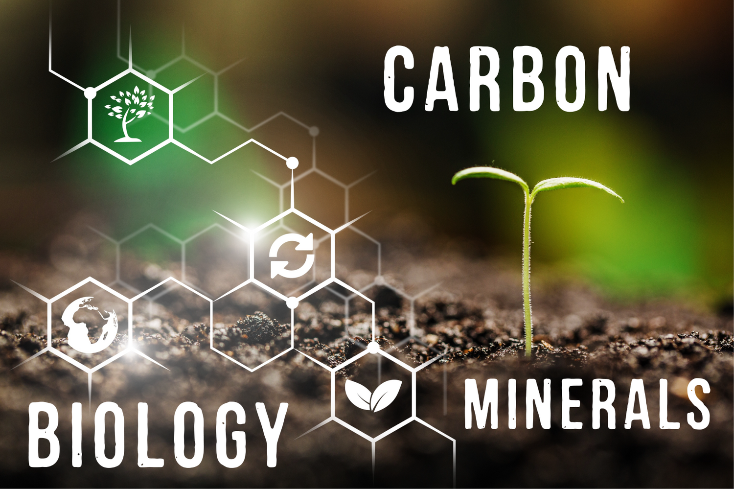 Soil Health - Why Does it Matter?