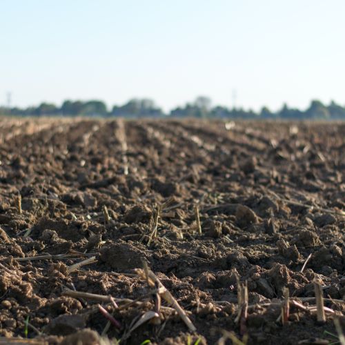 Residue Management Can Solve Fertilizer Stratification